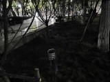 请“好人”把好人广场里的草坪灯扶正修复亮