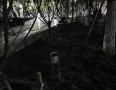 请“好人”把好人广场里的草坪灯扶正修复亮