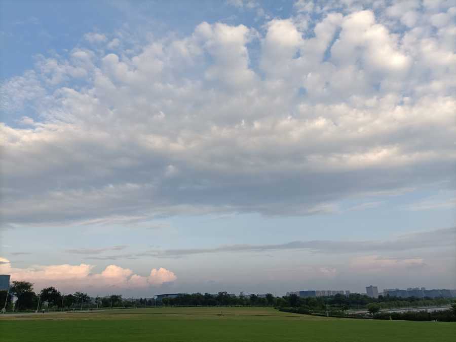 IMG_20200820_180307.jpg