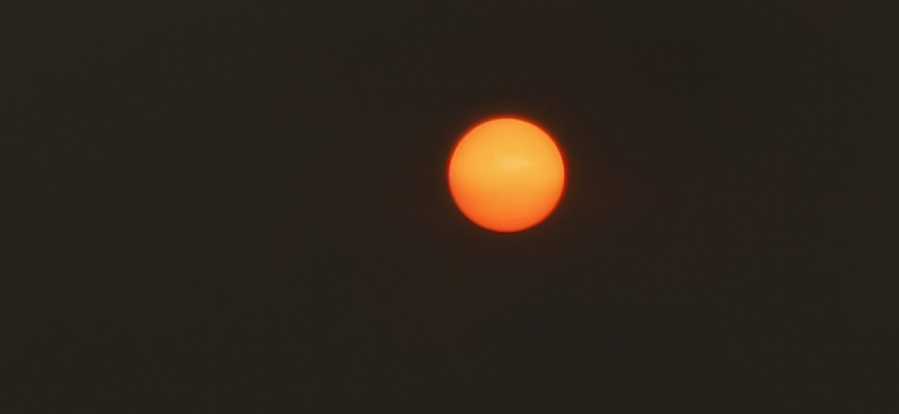 IMG_20200824_181805.jpg