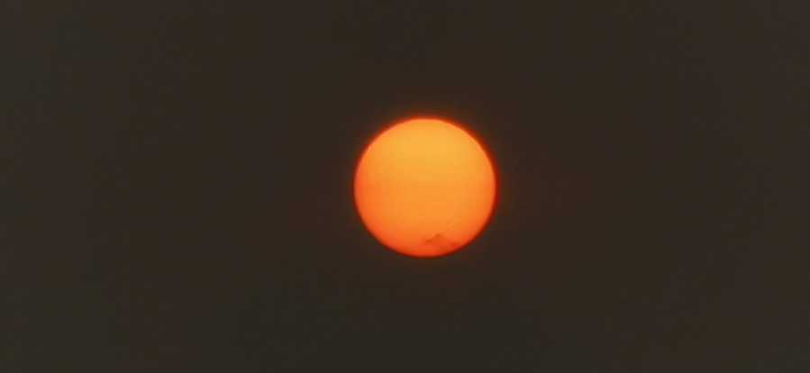 IMG_20200824_181828.jpg